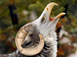 I just gave myself chills.