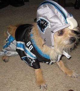 This dude's adorable...