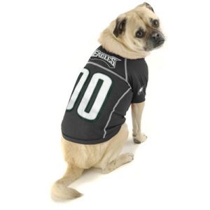 Eagles dog, I'm thankful for you!