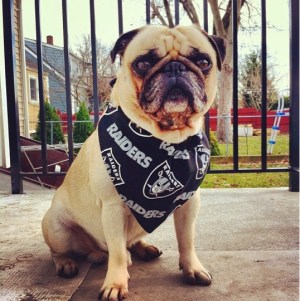 This guy, however, does NOT care.